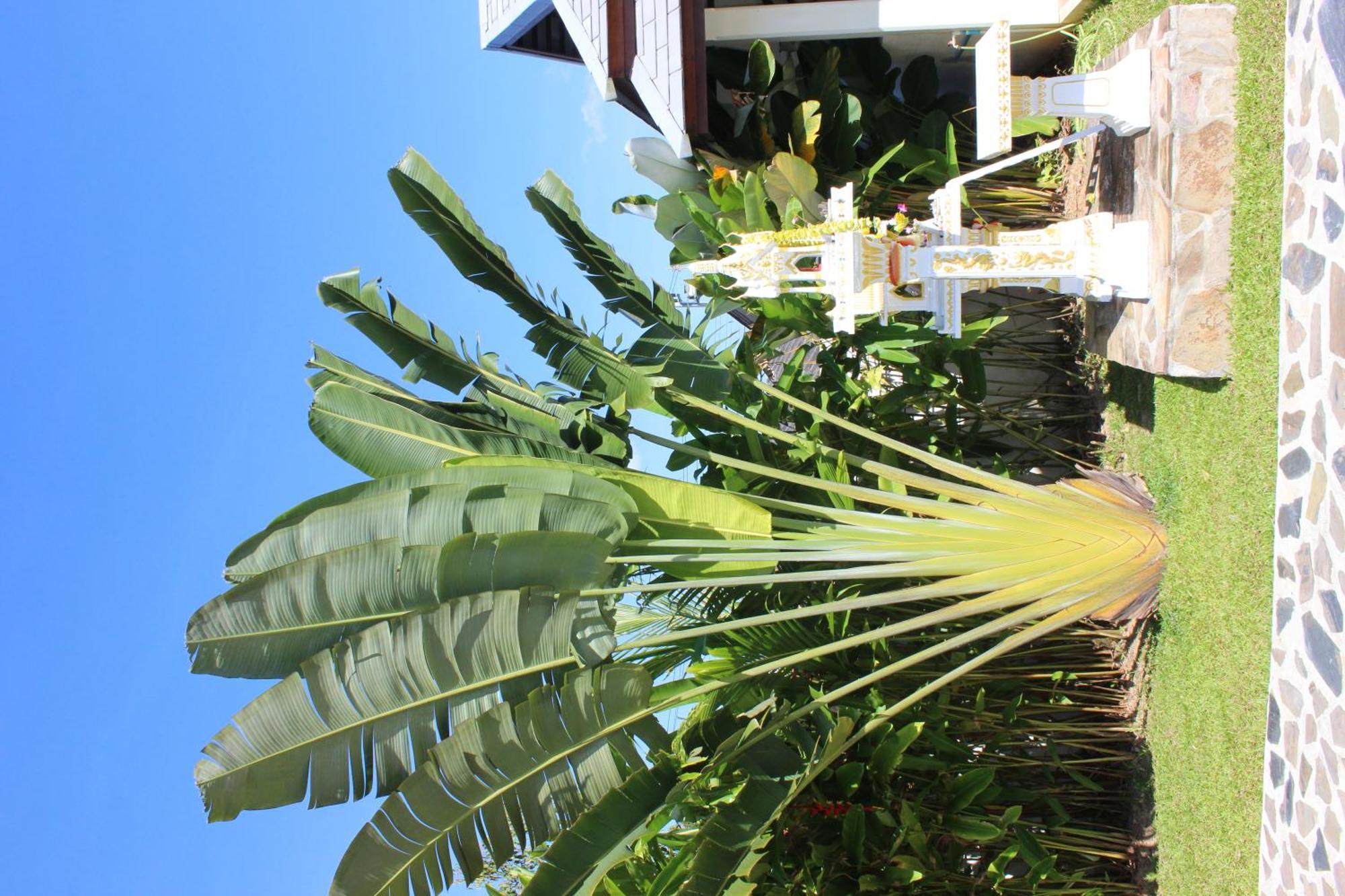 Villa Colina Khao Lak Rooms And Bungalows - Adults Only Extérieur photo